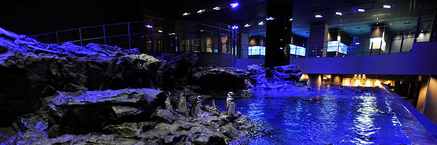 SUMIDA AQUARIUM